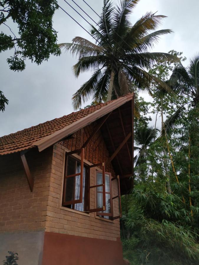 Cinnamon Village Sinharaja دينيايا المظهر الخارجي الصورة