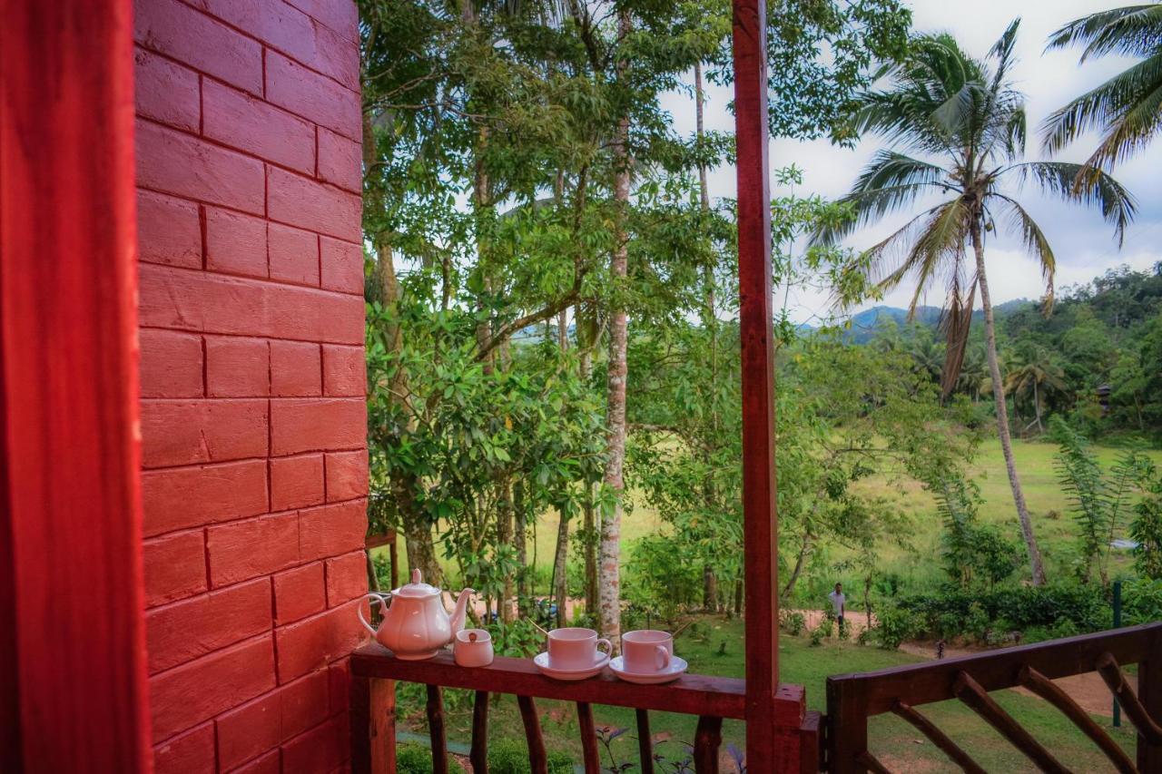 Cinnamon Village Sinharaja دينيايا المظهر الخارجي الصورة