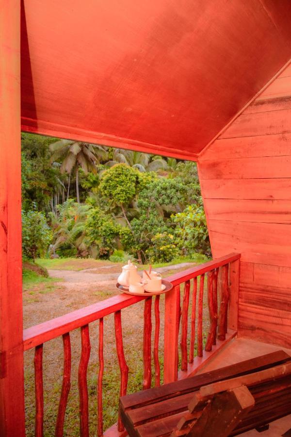 Cinnamon Village Sinharaja دينيايا المظهر الخارجي الصورة
