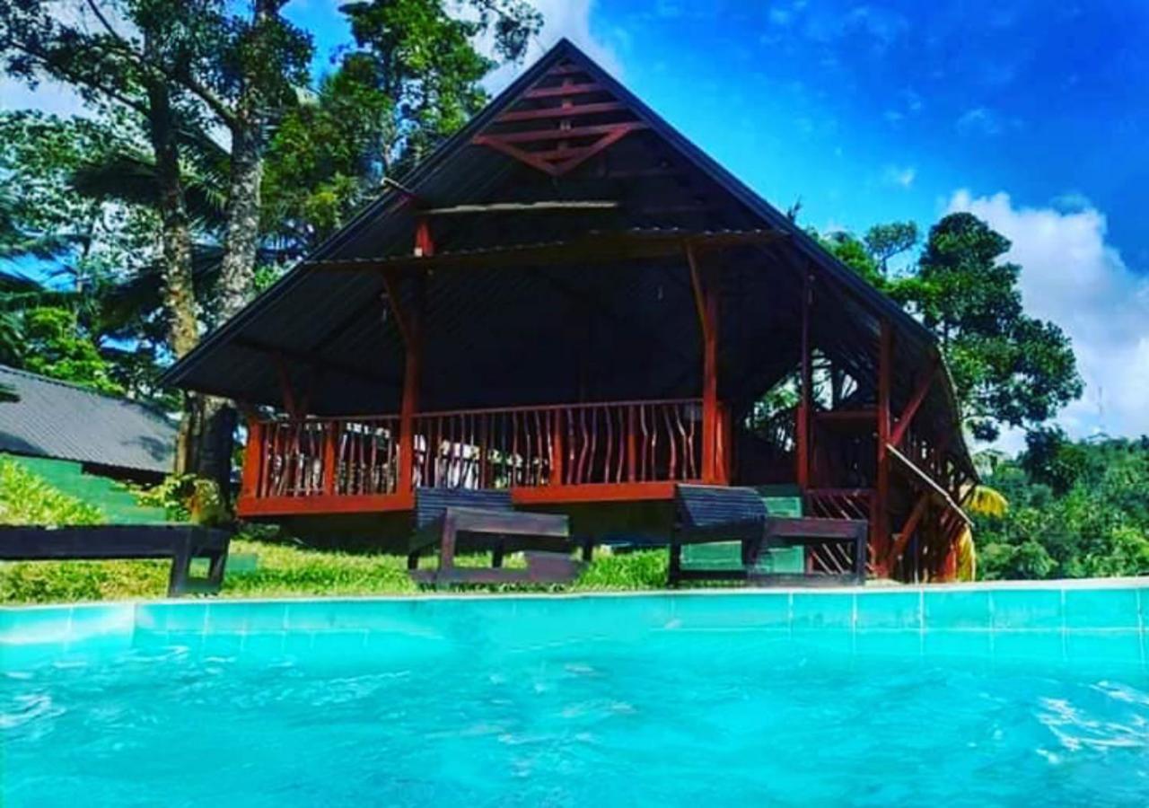 Cinnamon Village Sinharaja دينيايا المظهر الخارجي الصورة