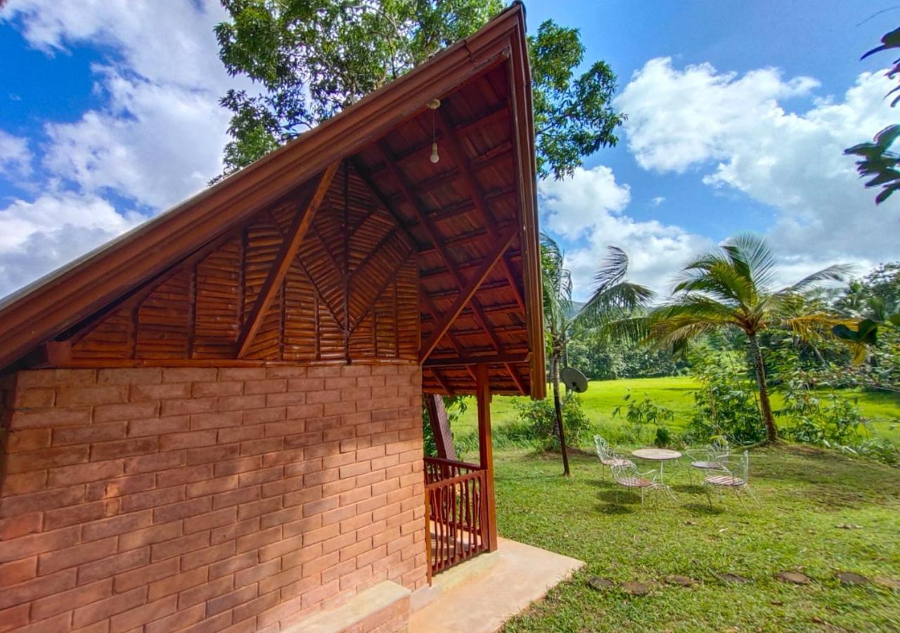 Cinnamon Village Sinharaja دينيايا المظهر الخارجي الصورة