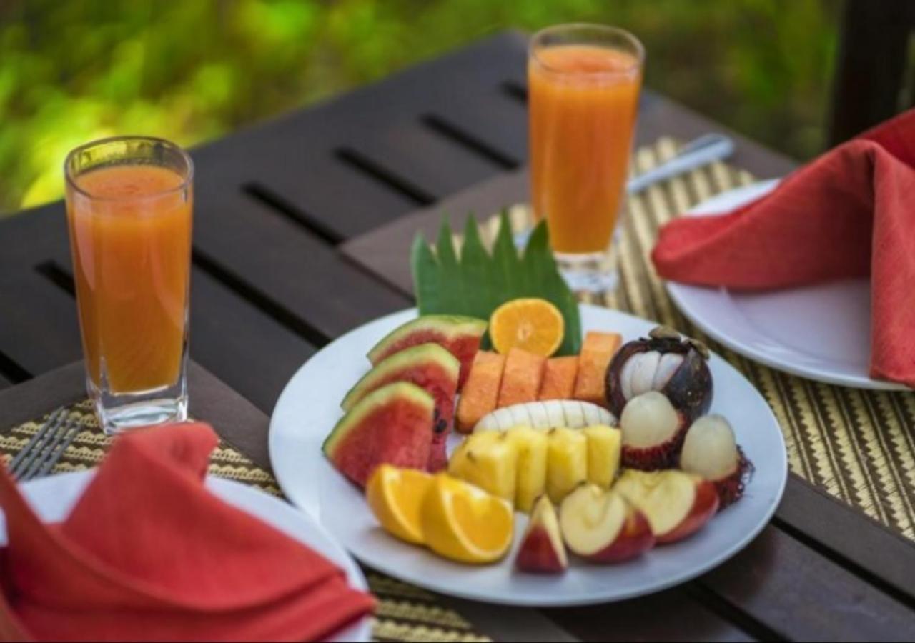 Cinnamon Village Sinharaja دينيايا المظهر الخارجي الصورة