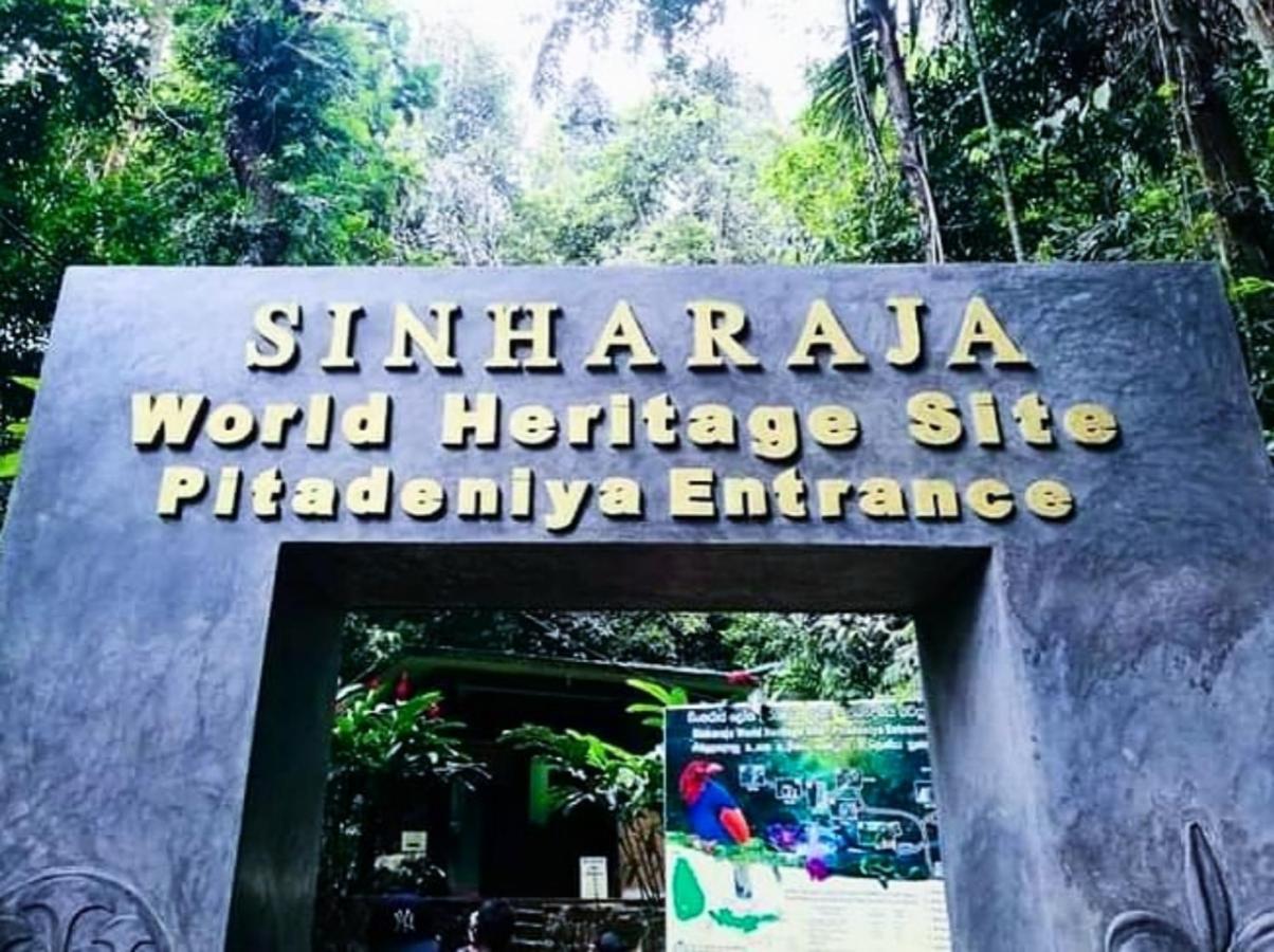 Cinnamon Village Sinharaja دينيايا المظهر الخارجي الصورة