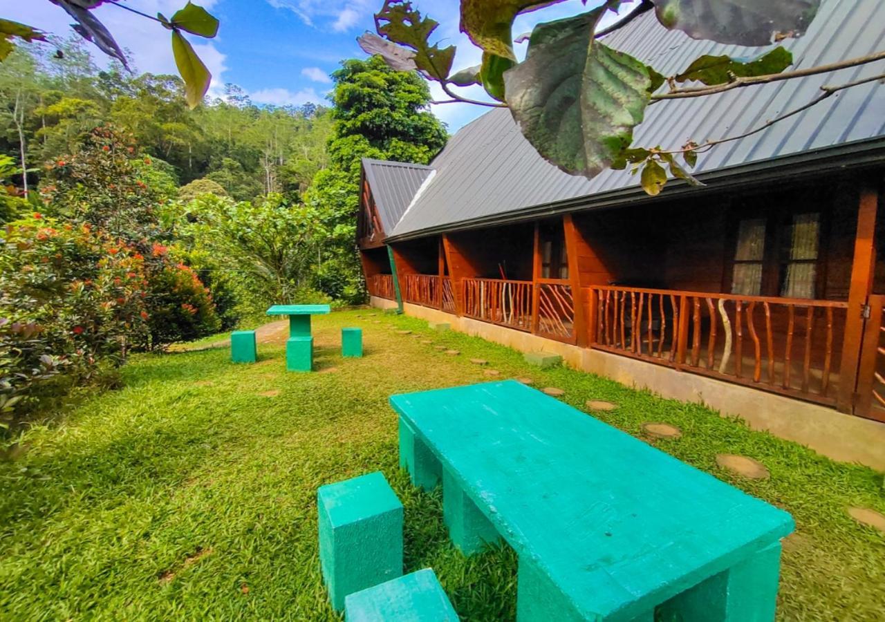 Cinnamon Village Sinharaja دينيايا المظهر الخارجي الصورة