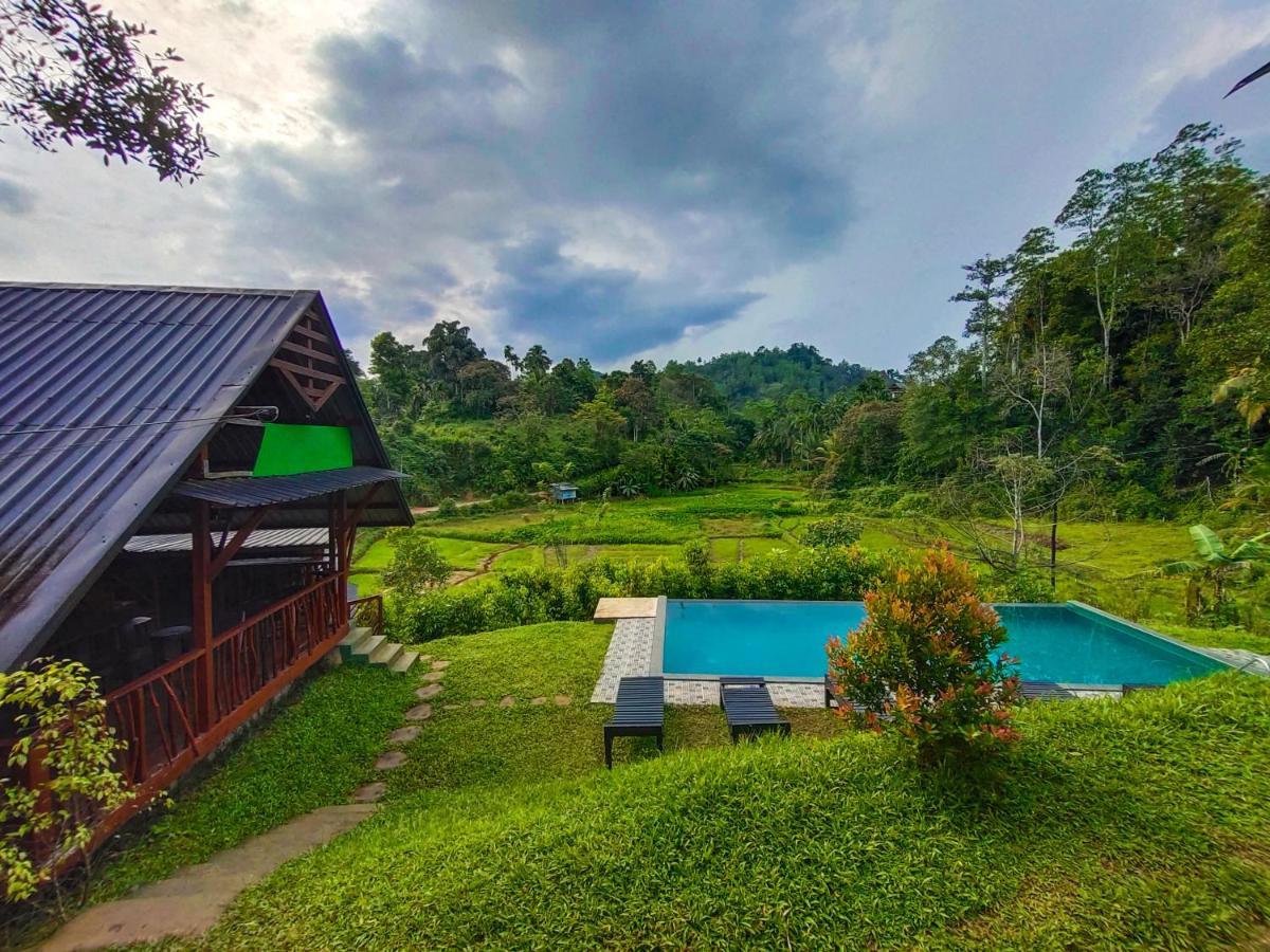 Cinnamon Village Sinharaja دينيايا المظهر الخارجي الصورة