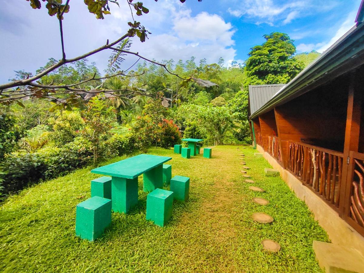 Cinnamon Village Sinharaja دينيايا المظهر الخارجي الصورة