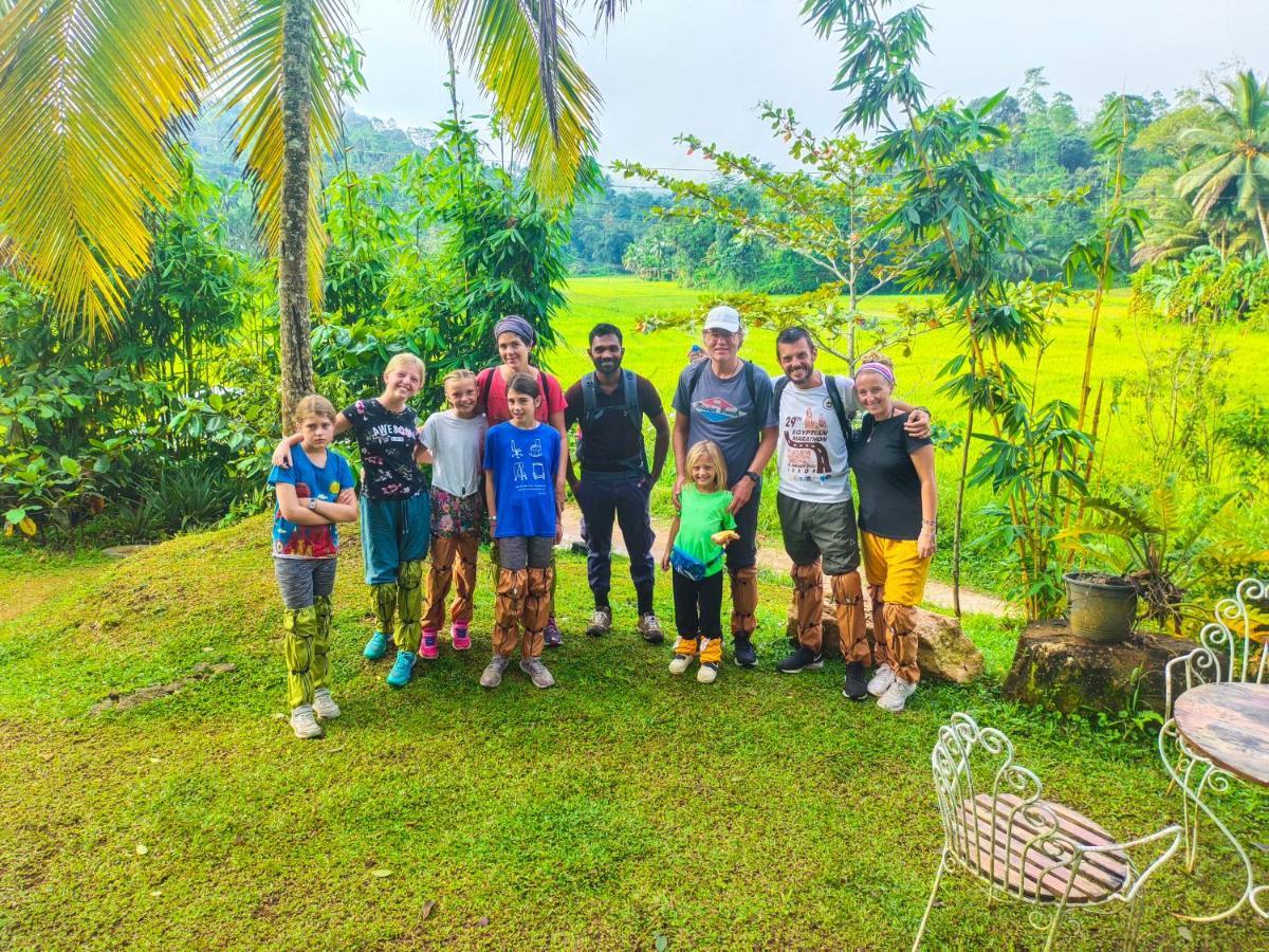 Cinnamon Village Sinharaja دينيايا المظهر الخارجي الصورة