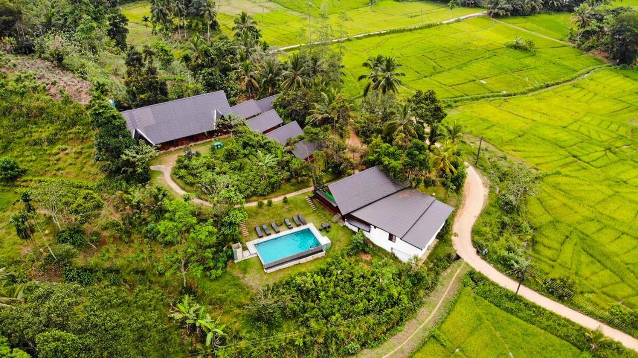 Cinnamon Village Sinharaja دينيايا المظهر الخارجي الصورة