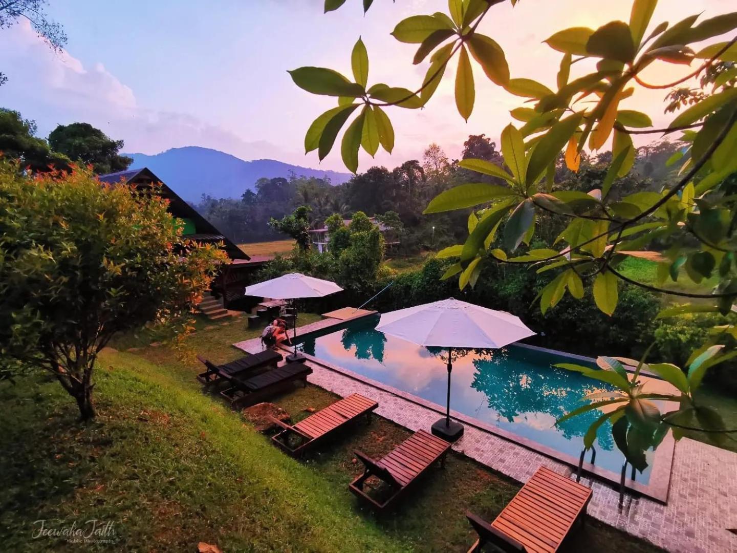Cinnamon Village Sinharaja دينيايا المظهر الخارجي الصورة