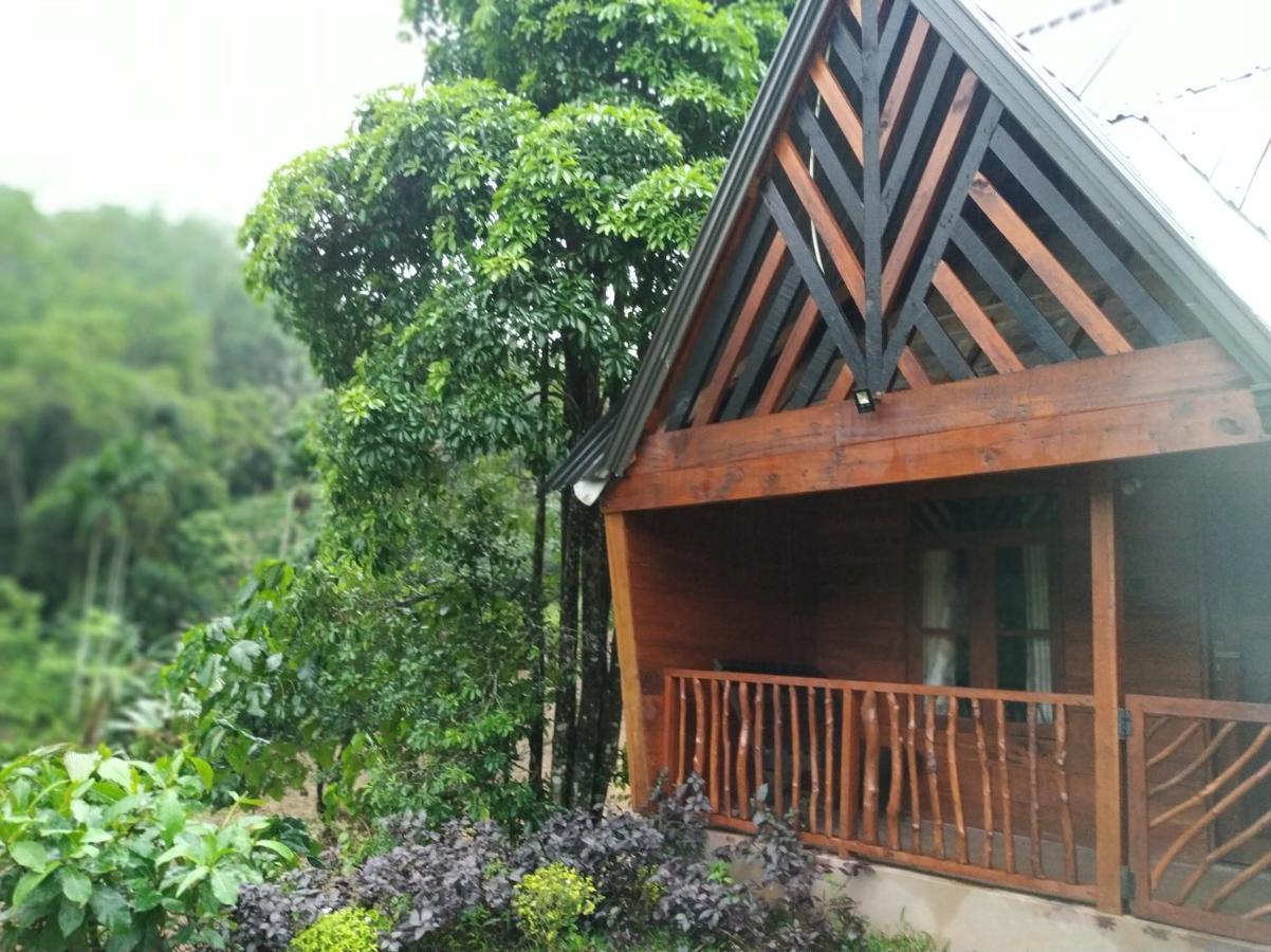 Cinnamon Village Sinharaja دينيايا المظهر الخارجي الصورة