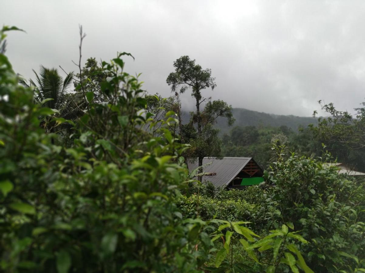Cinnamon Village Sinharaja دينيايا المظهر الخارجي الصورة